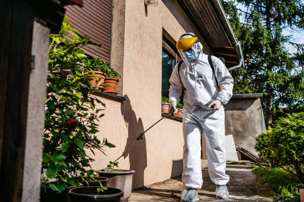 Best Pest Prevention Services  in Noroton Heights, CT