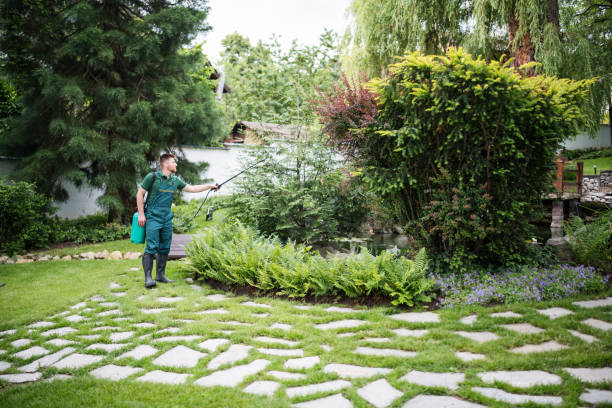 Best Pest Removal Services  in Noroton Heights, CT
