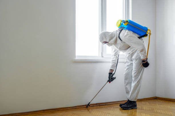 Best Pest Control Near Me in Noroton Heights, CT