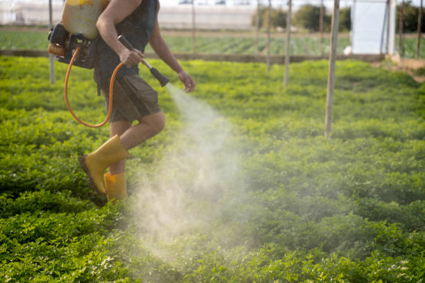 Best Mosquito Control Services  in Noroton Heights, CT