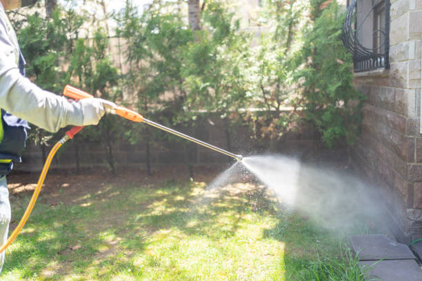 Reliable Noroton Heights, CT Pest Control Solutions